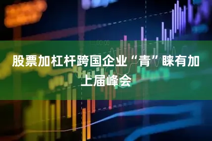 股票加杠杆跨国企业“青”睐有加　　上届峰会