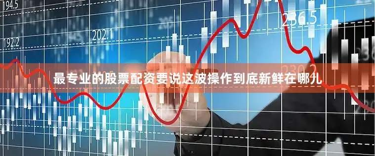 最专业的股票配资要说这波操作到底新鲜在哪儿