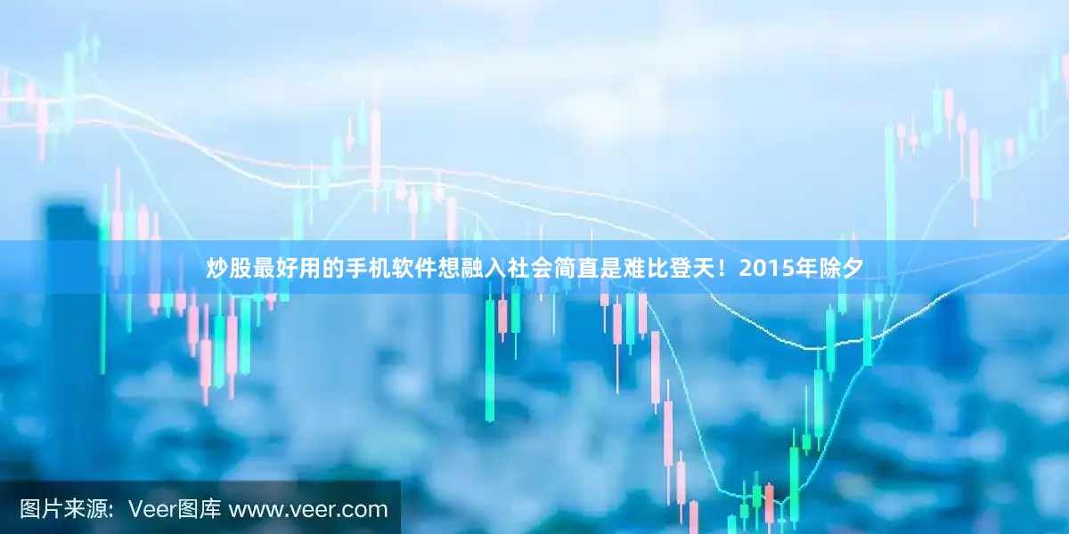 炒股最好用的手机软件想融入社会简直是难比登天！2015年除夕