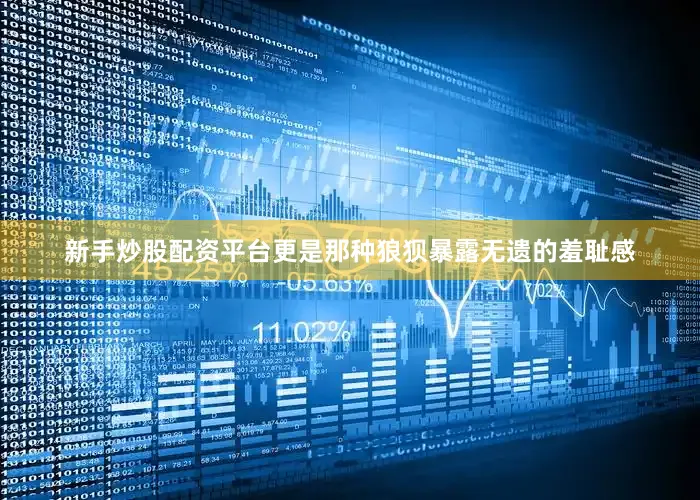 新手炒股配资平台更是那种狼狈暴露无遗的羞耻感